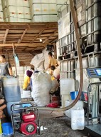 Diduga Minyak Jelanta di Kelola Menjadi Minyak Goreng Siap Saji Masih Beredar di Surabaya