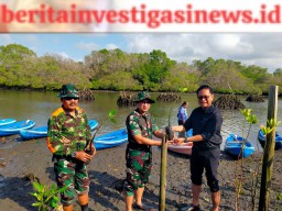 Jaga Kelestarian Lingkungan, Kodim Badung Gelar Penanaman dan Pemeliharaan Mangrove