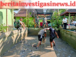 Kodim Tabanan Panen Lele Hasil Budidaya Jajaran Koramil