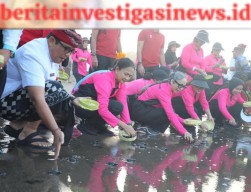Bhayangkari Lepas 600 Ekor Tukik, Lestarikan Satwa Penyu