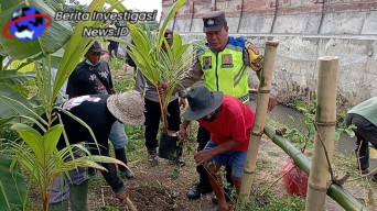 Aksi Polisi Tanam Pohon Demi Penghijauan Dikota Denpasar, Polsek Denbar Bantu 200 Pohon