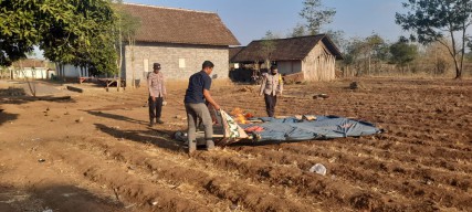 Respon Cepat Tanggapi Aduan Masyarakat, Polisi Bongkar Arena Judi Sabung Ayam di Banyuwangi