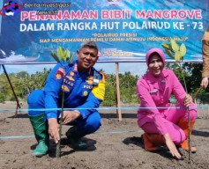Dit Polairud Polda Gorontalo Tanam Bibit Manggrove