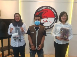 Kedapatan Barang Haram Warga Sidoarjo Diamankan Satresnarkoba Polrestabes Surabaya 