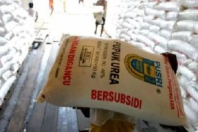 Kuota Pupuk Bersubsidi di Jawa Timur Tahun 2024 Mengalami Penurunan, Tidak Hanya Distributor Kota Sampang