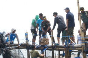 Program PKN, Danrem 163/WSA Panen Bandeng 20 Ton