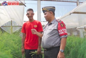 Budidaya Asparagus Jadi Pembinaan Unggulan Lapas Narkotika Bangli