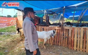 Bhabinkamtibmas Polsek Denbar Pantau Aktifitas Penjualan Hewan Kurban