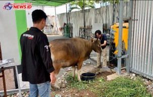 Jelang Idul Adha 1445 H, Lapas Kerobokan Lakukan Pengecekan Kesehatan Hewan Qurban 