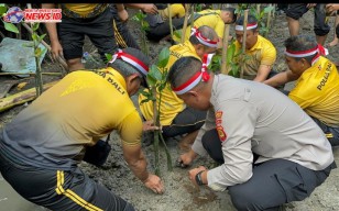 Polres Bandara Ngurah Rai Tanam Seribu Bibit Pohon Bakau 