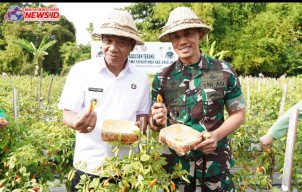 Pangdam Apresiasi Ketahanan Pangan Kodim Buleleng