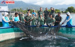 Pangdam Panen Bandeng Keramba, Hasil Budidaya Kodim Buleleng