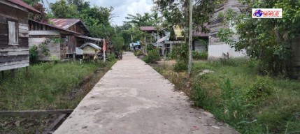 Warga Desa Bereng Balawan Butuh Penerangan Listrik dan Perbaikan Infrastruktur Jalan