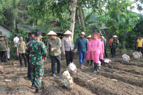 Wujudkan Ketahanan Pangan Mandiri, Polres Blitar Kota Bersama Masyarakat Tanam Jagung di Lahan Aset Polri