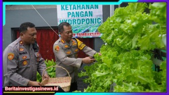 Surprise..!! Bisa Panen Sayur Hidroponik di Polsek Tambaksari, Begini Reaksi Kapolrestabes Surabaya