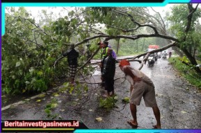Kapolsek Robatal Bersama Warga Evakuasi Pohon Tumbang Di Jalan Raya Desa Jelgung