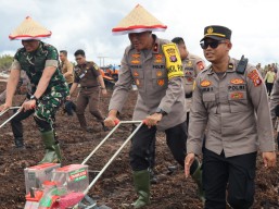 Dukung Asta Cita Presiden, Polda Kalteng Tanam Jagung di Lahan 1.200 Hektare