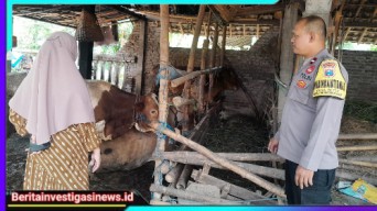 Bhabinkamtibmas Ngronggot Bersama Unsur Terkait Asistensi Peternakan Warga Dukung Ketahanan Pangan