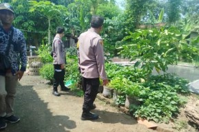 Dukung Ketahanan Pangan, Polsek Baron Pantau Budidaya Lele di Desa Mabung