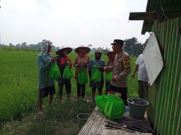 Kapolsek Winongan Dampingi Petani Dukung Ketahanan Pangan