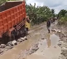 Keluh Kesah Warga Jalan Rusak, Bupati Romi Wijaya Tinjau Kerusakan Jalan Masbangun Dan Sukamaju 