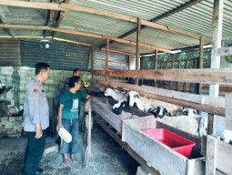 Pemanfaatan Lahan Pekarangan, Bhabinkamtibmas Betet Dukung Ketahanan Pangan