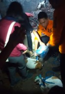 Sembilan Ekor Anjing Peliharaan Berhasil Dievakuasi di Jalan Rungkut Harapan