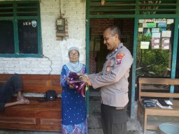 Panen Terong di Polsek Wilangan, Warga Sekitar Kebagian Sayuran Berupa Terong