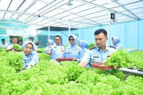 Kembangkan Pertanian Terpadu, Lanud Muljono Wujudkan TNI AU AMPUH Dukung Ketahanan Pangan Nasional