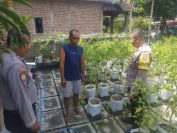 Polsek Ngetos Dukung Ketahanan Pangan, Pantau Pekarangan Sayur Warga