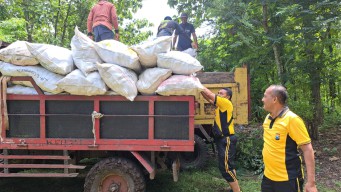Pendampingan Panen Jagung di Wilangan, Wujud Nyata Dukung Ketahanan Pangan