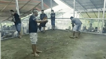 Lokasi Perjudian Sabung Ayam "Velt Kaca" Kayuwatu Kembali Beroperasi, Pala Ating di Duga Kebal Hukum