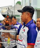 Meriah! Festival Danrem Cup 2025 Lomba Burung Berkicau Pererat TNI, Polri, dan Masyarakat