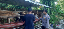 Polsek Ngluyu Dukung Peternakan Kambing Warga sebagai Sumber Pangan dan Nilai Tambah Ekonomi