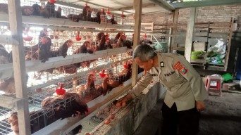 Polsek Loceret Dukung Warga Ngepeh Kembangkan Ternak Ayam Petelur
