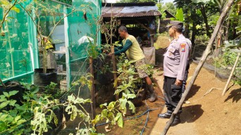 Polsek Sawahan Dukung Ketahanan Pangan Lewat Pemanfaatan Lahan Perkarangan