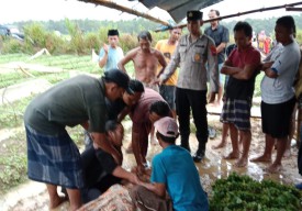 Sambaran Petir Mengakibatkan Korban Jiwa di Kecamatan Torjun
