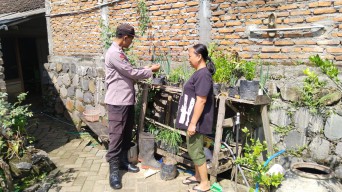 Seledri Sehat dari Pekarangan: Polsek Sawahan Dukung Ketahanan Pangan Warga