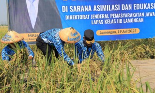 Panen Raya di SAE Lapas Lamongan, Kakanwil : 10 Ton Padi dari Pemasyarakatan Jawa Timur