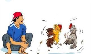 Sabung Ayam di Gedangan Sumawe Malang, Semakin Tak Terbendung, Kapolres dan Kasat Reskrim Harus Tegas