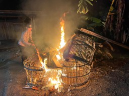 Polisi Bongkar Dua Lokasi Arena Judi Sabung Ayam di Malang