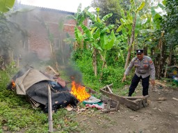 Respon Cepat Pengaduan Masyarakat Polisi Bongkar Arena Sabung Ayam di Sidoarjo