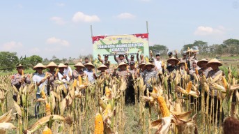Panen Raya Jagung Serentak, Polres Nganjuk Sumbang 10 Ton di Kuartal III 2025 