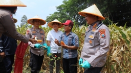 Dukung Swasembada Pangan Nasional Polresta Malang Kota Targetkan Lahan 26,35 Hektar untuk Kuartal IV