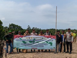 Penanaman Jagung Serentak Kuartal IV Bersama Presiden Prabowo Subianto 