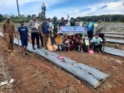 Penanaman Jagung Hibrida nek 212 Serentak Kuartal IV Bersama Presiden Prabowo Subianto 