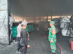 Kebakaran Di Pt Ritek Energi Lestari Metatu Cepat Diatasi Aparat Terkait 