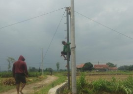 Warga Dusun Talon Akhirnya Nikmati Listrik Stabil Setelah Perjuangan Panjang