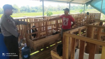 Aipda Agus, Polisi Desa yang Sukses Jadi Peternak Domba