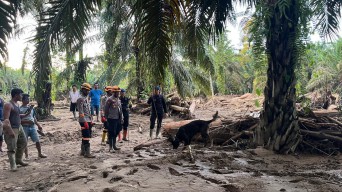 Den K9 Ditpolsatwa Baharkam Polri Berhasil Temukan Satu Korban Bencana Alam di Batang Toru, Sumatera Utara